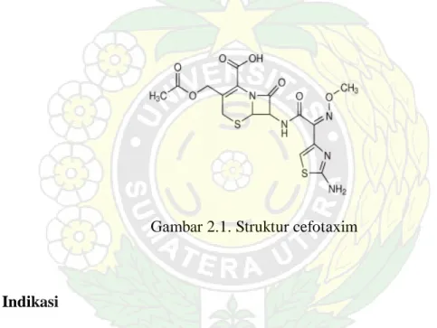 Gambar 2.1. Struktur cefotaxim 