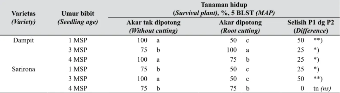 Tabel 2.   Pengaruh pemotongan akar dengan varietas dan umur bibit terhadap tanaman  yang hidup (The effect of root cutting and combination of  variety and seedling age on  survival plant)