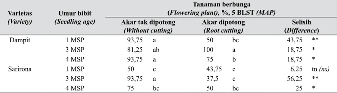 Tabel 4.  Pengaruh pemotongan akar dan kombinasi varietas dengan umur bibit  terhadap  jumlah tanaman berbunga jantan (The effect of root cutting and combination of   variety and seedling age on  number male flower plant)  