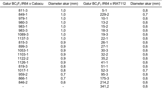 Tabel 6. Ketebalan/diameter akar beberapa galur persilangan BC 2 F 2  IR64 x Cabacu dan IR64 x  IRAT112