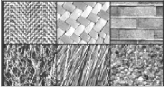 Gambar 5 menunjukkan perbedaan tekstur makrostruktur dan  mikrostruktur yang diambil dari album tekstur Brodatz (Brodatz, 1966)