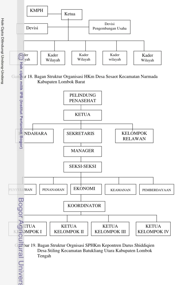 Gambar 18. Bagan Struktur Organisasi HKm Desa Sesaot Kecamatan Narmada       Kabupaten Lombok Barat 