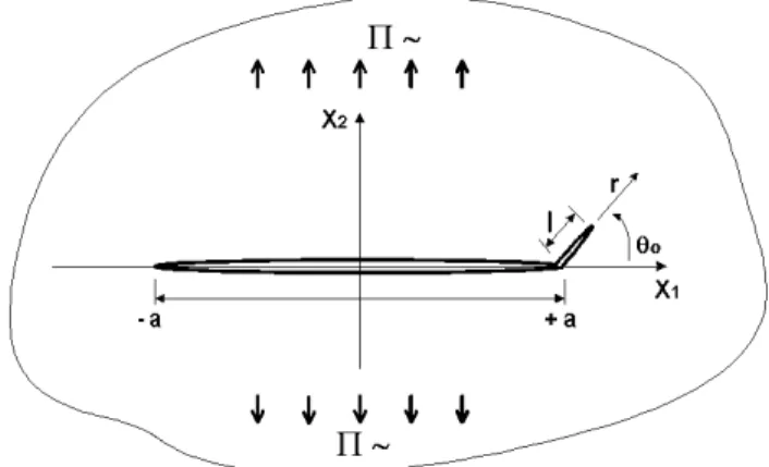Gambar 1 Geometri Retak Cabang 