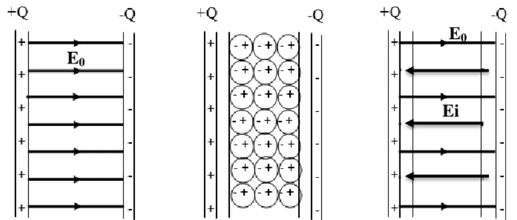 Gambar 2.6  Penampakan medan listrik di antara elektroda secara molekuler (a)    Udara (b) polar (c) Non-polar (Nolan,1993) 