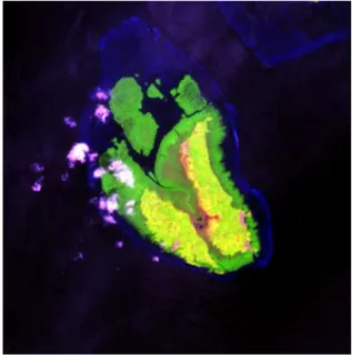 Gambar  2-1  memperlihatkan  contoh  tampilan  citra  Landsat-8  OLI  komposit  warna  semu  RGB  654
