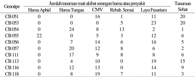 Tabel  3.  Jumlah  kematian  tanaman  tiap  genotipe  cabai  merah  akibat  serangan  hama  atau  penyakit  