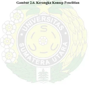 Gambar 2.6. Kerangka Konsep Penelitian 