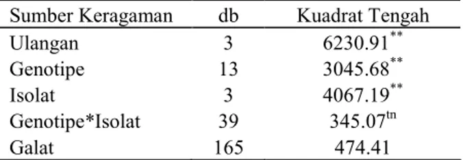 Tabel 2.   Skor  dan  kriteria  ketahanan  cabai  merah  terhadap  penyakit  antraknosa  berdasarkan  kejadian penyakit 