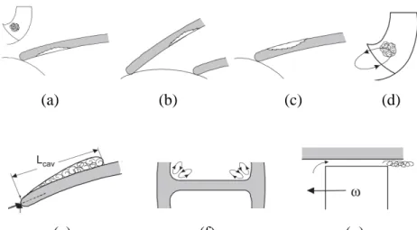 Gambar 2. 13 Tipikal kerusakan kavitasi pada blade surface (Gülich 2013) 