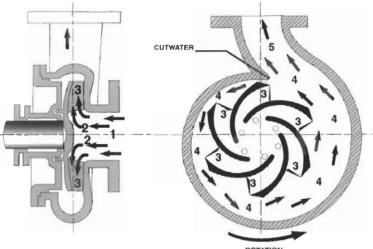 Gambar 2. 2 Skema aliran pada pompa sentrifugal (Bachus dan Custodio 2003) 