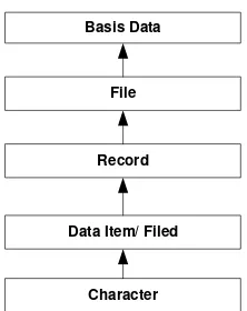 Gambar 2.1 Hirarki Data Suatu Basis Data 