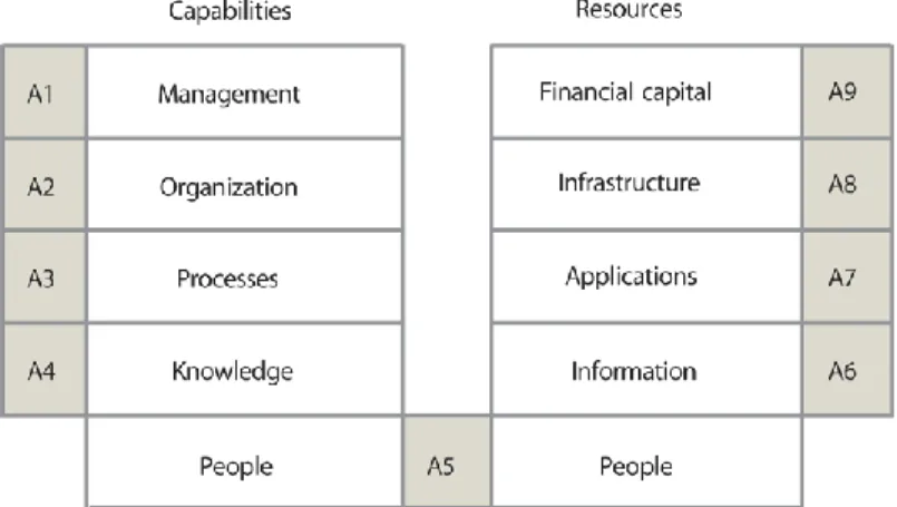 Gambar 2.2. Resources dan Capabilities 