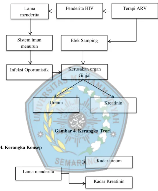 Gambar 4. Kerangka Teori 
