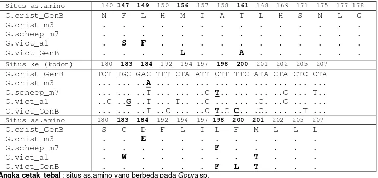 Tabel 3 Jumlah dan posisi basa dari triplet kodon Cyt b parsial (42 situs) G. cristata GenBank, G