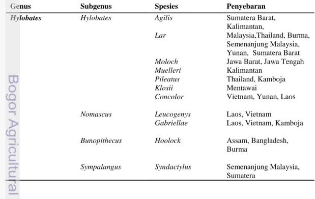 Tabel 1  Klasifikasi dan Penyebaran genus Hylobates 