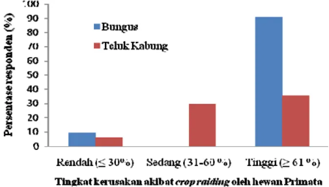 Gambar 4. Tingkat kerusakan akibat crop raiding oleh hewan  Primata berdasarkan hasil wawancara (n = 28, dimana n = jumlah  responden) di Kecamatan Bungus Teluk Kabung, Padang