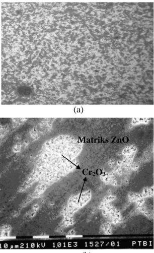 Gambar  4  menunjukkan  hasil  mikrostruktur keramik varistor  ZnO murni  dengan  (a)  menggunakan  mikroskop  optik 