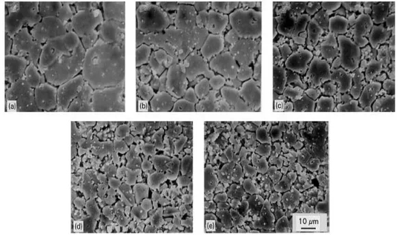 Gambar  5  menunjukkan  mikrostruktur  sampel ZnCr5.0. Gambar (a) menunjukkan  mikrostruktur  yang  dikarakterisasi  menggunakan  mikroskop  optik  dengan  perbesaran 400 kali