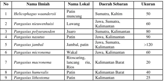 Tabel 4. Jenis Ikan Patin Sebagai Ikan Hias yang Dijual di Indonesia 