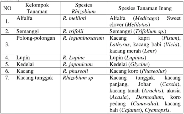 Tabel 3.  Simbiosis antara spesies bakteri Rhizobium dengan Legum sebagai tanaman inang yang  bersifat spesifik  