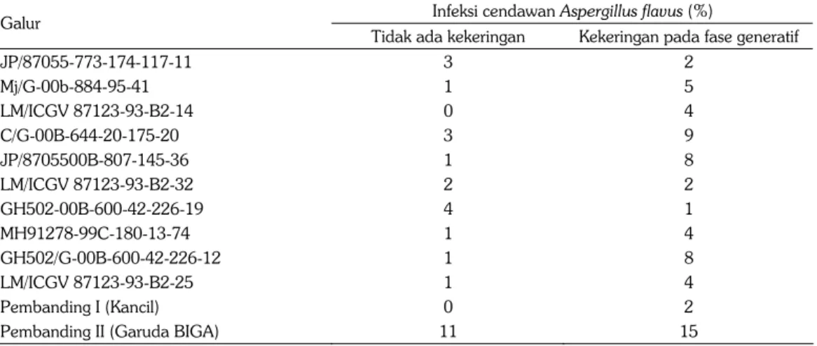 Tabel 10. Rata-rata infeksi Aspergillus flavus pada biji beberapa galur kacang tanah pada dua  lingkungan, 2012