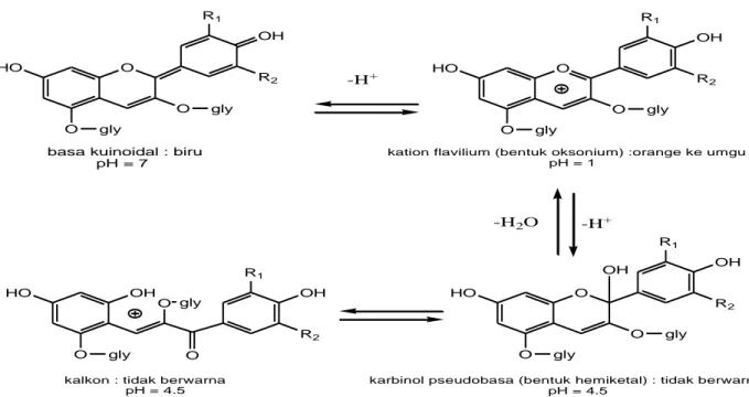 Gambar 1.  Struktur antosianin pada kondisi pH yang berbeda (Wrolstad dan Giusti, 2001) 