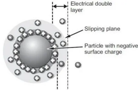 Gambar 4.1. Lapisan ganda listrik di sekitar nanopartikel 