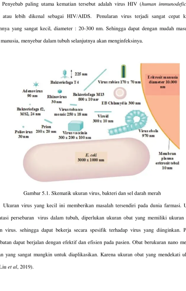 Gambar 5.1. Skematik ukuran virus, bakteri dan sel darah merah 