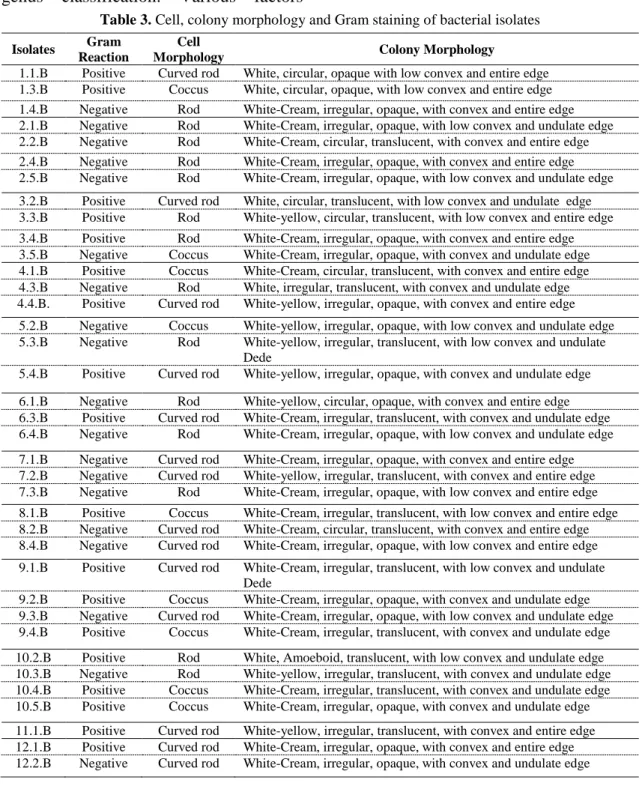 Table 3. Cell, colony morphology and Gram staining of bacterial isolates  Isolates  Gram 