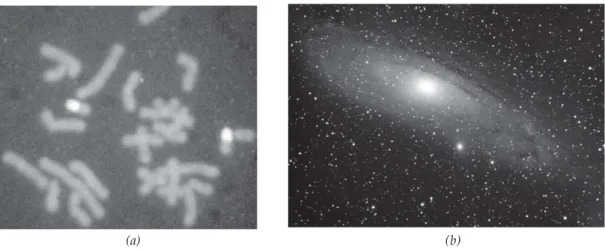 Gambar 1.2 Gambar ukuran beberapa benda: (a) Ukuran penampang lintang kromoson yang berorde 10 -6  m, (b) Galaksi Andromeda dengan diameter yang berorde 10  21  m