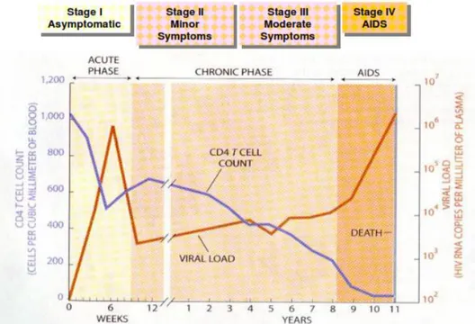 Gambar 1. Stadium klinis HIV/AIDS oleh WHO (WHO,2005) 