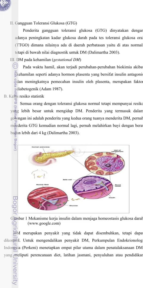 Gambar 1 Mekanisme kerja insulin dalam menjaga homeostasis glukosa darah  (www.google.com) 