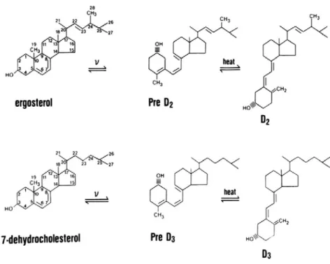 Gambar 2.2. Struktur Kimia Vitamin D    
