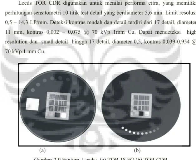 Gambar 2.9 Fantom  Leeds;  (a) TOR 18 FG (b) TOR CDR 