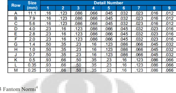 Gambar 2.10 Fantom TO 10  3 