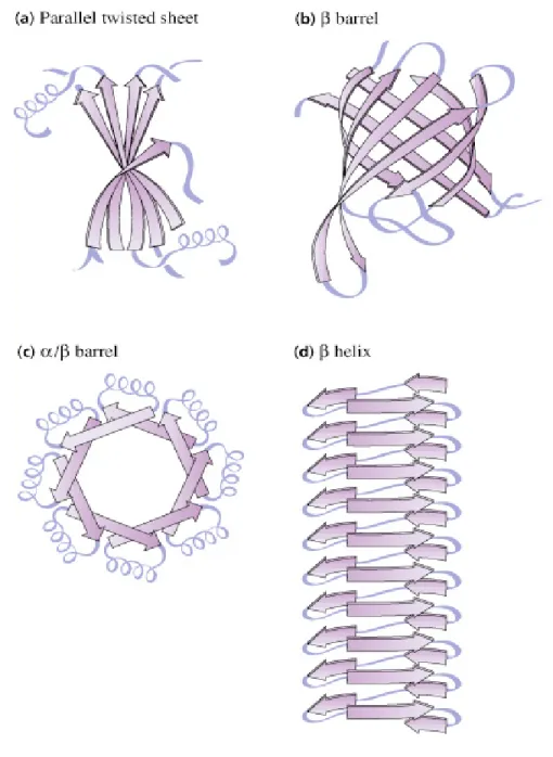 Fig. 4.23  Common  domain folds