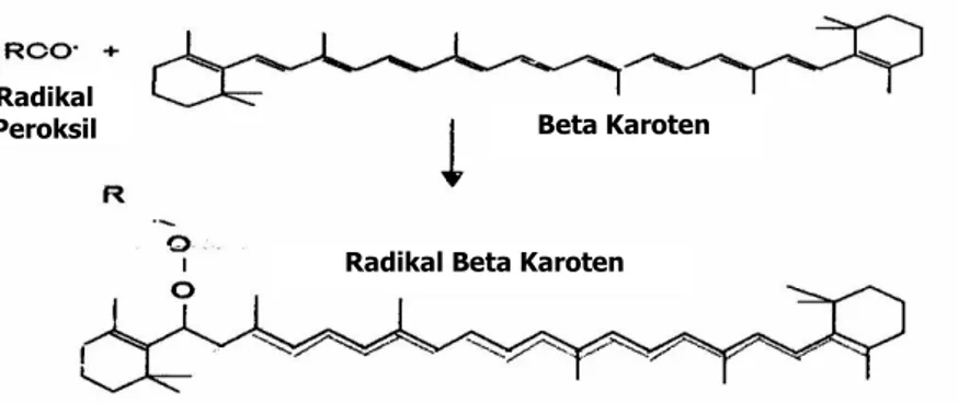 Gambar 6  Aktivitas beta-karoten sebagai antioksidan 