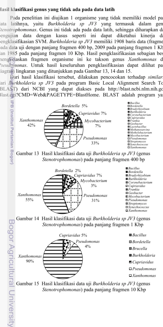Gambar 13  Hasil klasifikasi data uji Burkholderia sp JV3 (genus  Stenotrophomonas) pada panjang fragmen 400 bp 