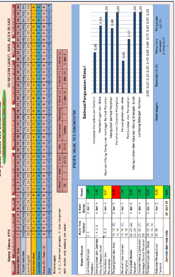 Gambar 2.   Laporan Hasil Diagnostik dan Profilenya 