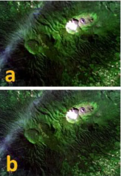 Gambar  4.  (a)  Citra  sebelum  pan-sharpening.  (b)  Citra hasil Gram-Schmidt pan-sharpening (GS) dalam  natural color RGB 432