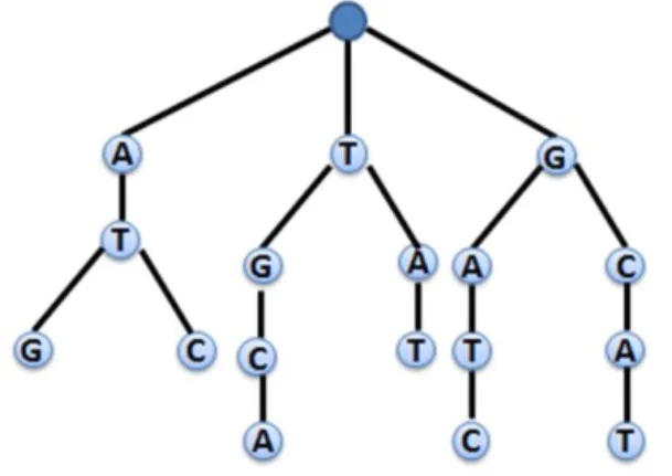 Gambar 1 Contoh prefix tree untuk himpunan string  Tabel 1 Spesifikasi organisme yang digunakan pada penelitian 