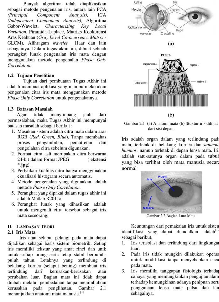 Gambar 2.1  (a) Anatomi mata (b) Stuktur iris dilihat                         dari sisi depan
