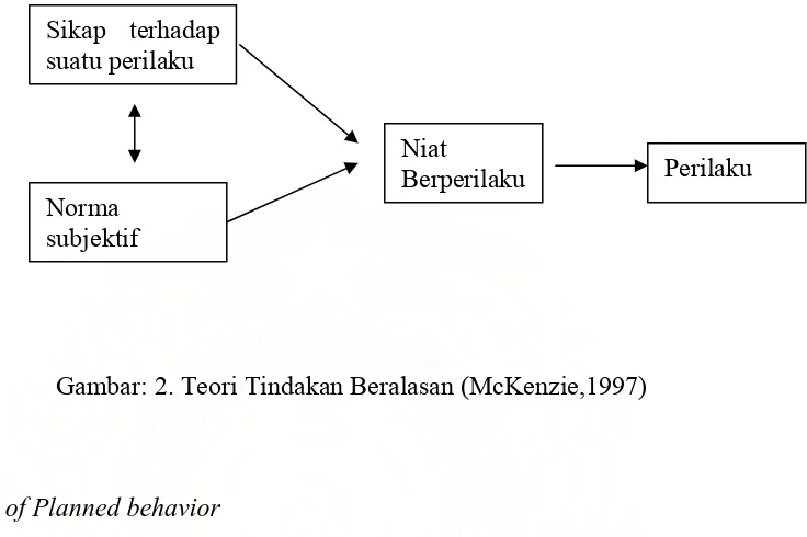 Gambar: 2. Teori Tindakan Beralasan (McKenzie,1997) 