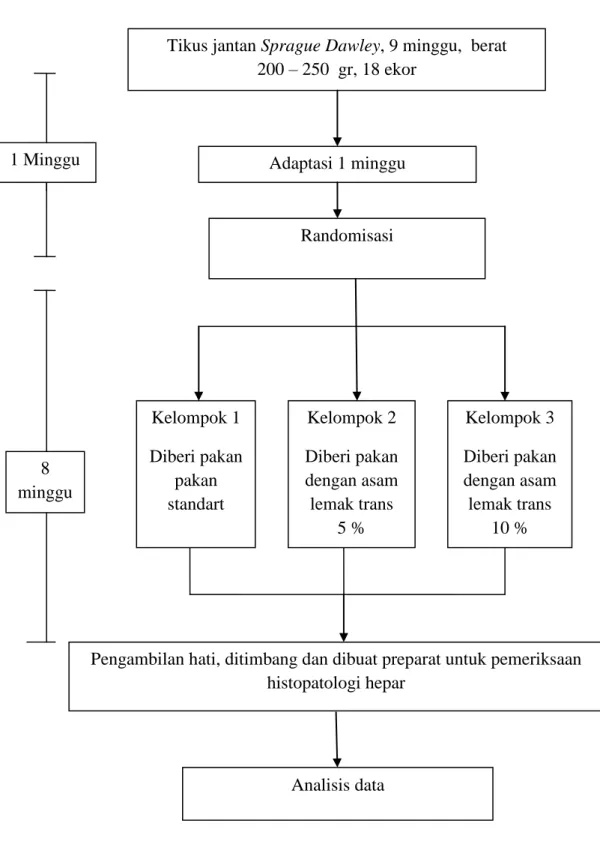 Gambar 10. Alur penelitian 