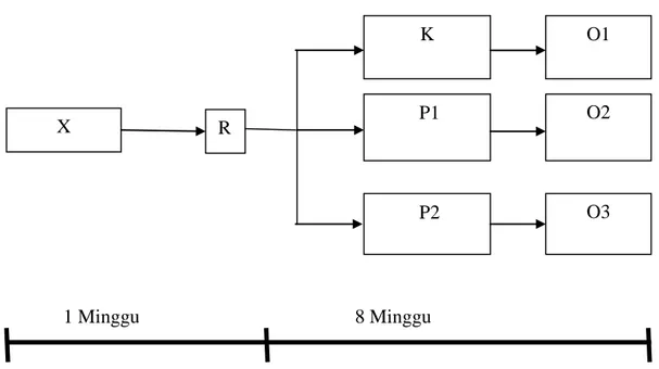 Gambar 9. Rancangan Penelitian  Keterangan : 