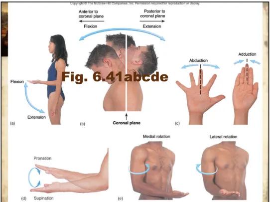 Fig. 6.41abcde