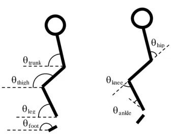 Gambar 2.1 Posisi Anatomi untuk segment angles dan relative angles dengan right  sagital view  