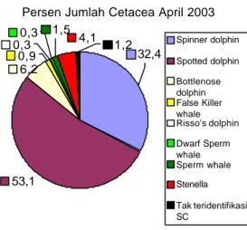 Gambar 8.  Diagram pie persen kelimpahan Cetacea pada bulan April 2003 
