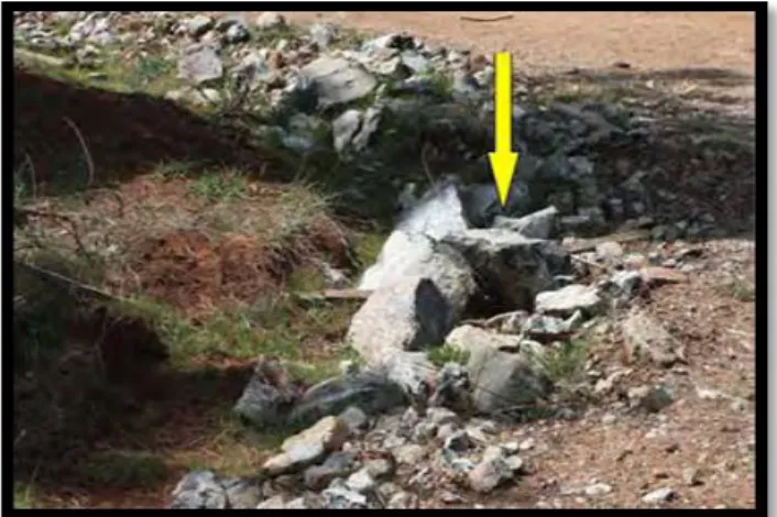 Gambar 1.  Batuan mengandung mineral silikat. 5 