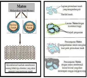 Gambar 3. Proses Pengikatan Matos  